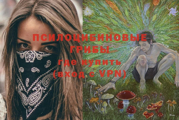 эйфоретик Аркадак